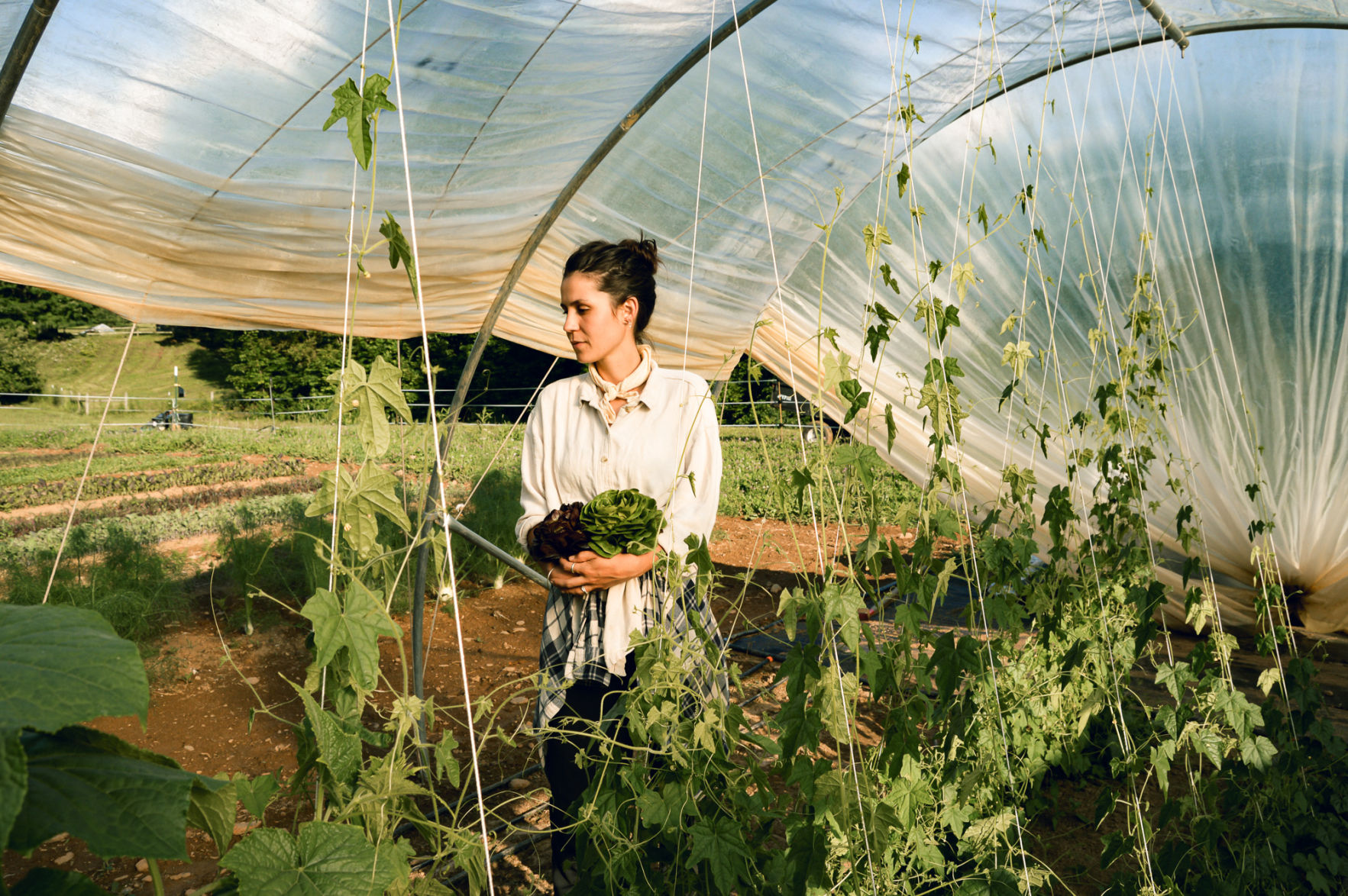 Mountainwise Farm